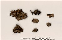 藏品(成長梅衣)的圖片